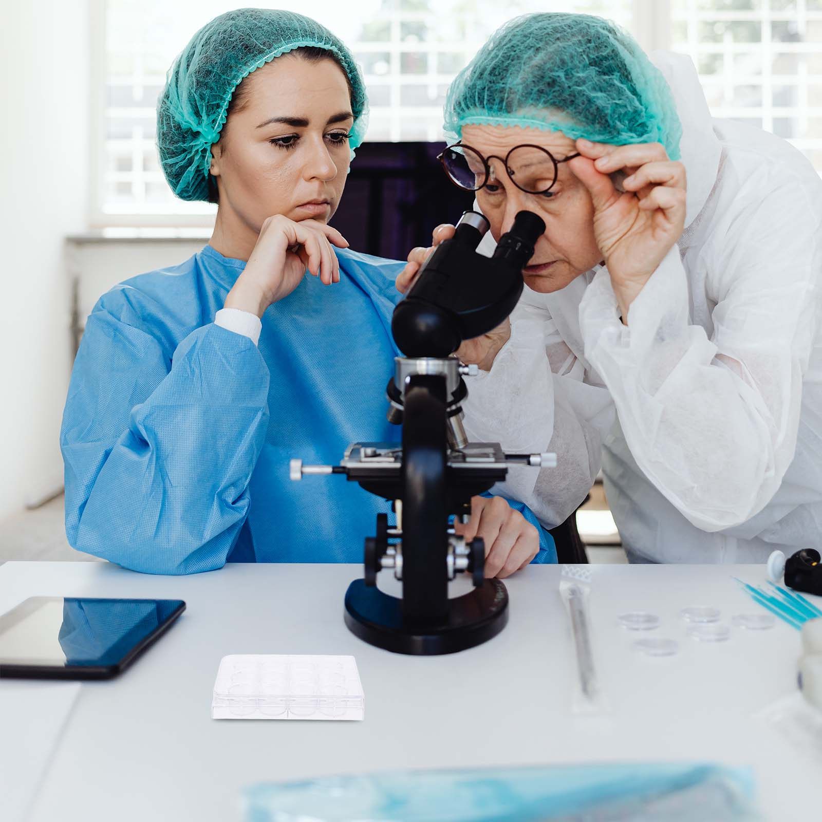 Lab Equipment - Placa de cultivo celular de 12