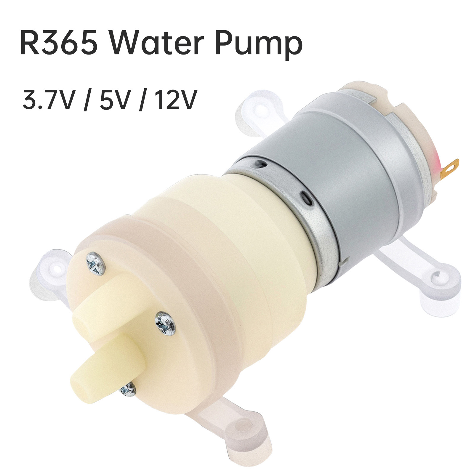 R365 Micro Motor de bomba de a - Mini Peristaltic Pump 12V reseña y precio